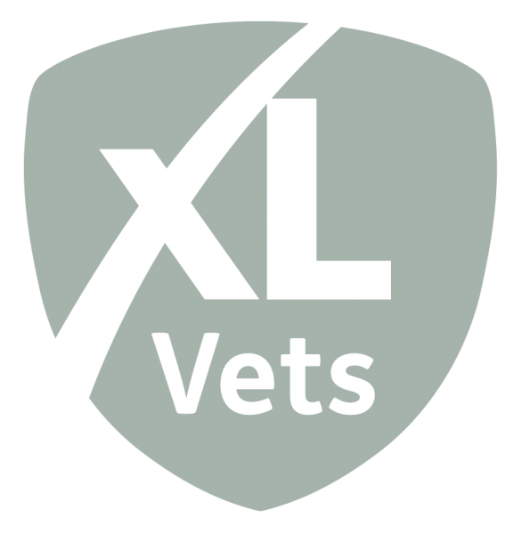 XLVets Member Practice